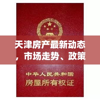 洵属可贵