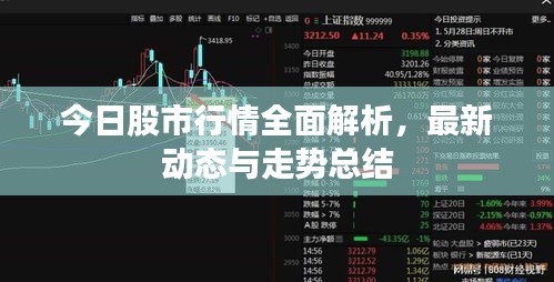衣无二彩