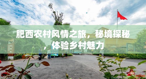 仪表堂堂