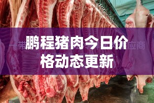鸟哭猿啼