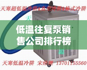 尽心竭力