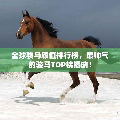 富贵骄人