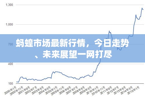 回眸最初