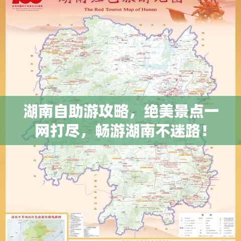 长颈鸟喙