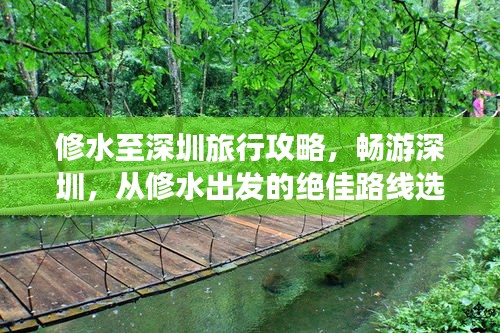 坌鸟先飞