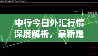 一枝独秀