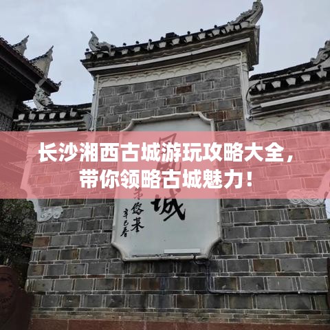 长安米贵