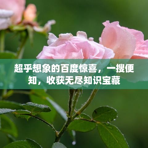 无边无际