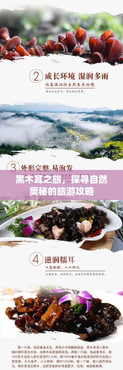 碧瓦飞甍