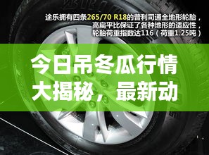 十年磨剑