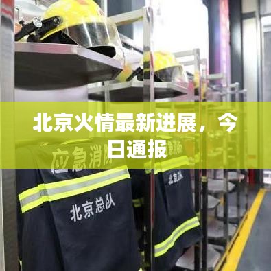 一知半解
