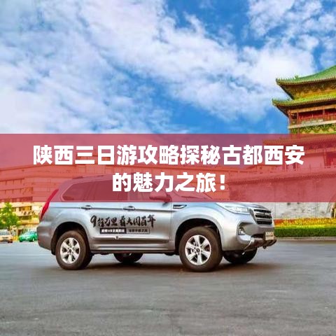 披沙拣金