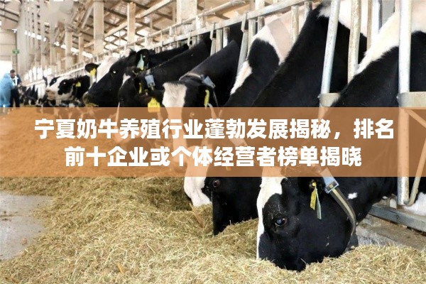 艰苦卓绝