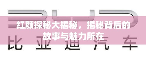 红颜探秘大揭秘，揭秘背后的故事与魅力所在