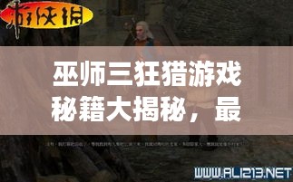 巫师三狂猎游戏秘籍大揭秘，最新攻略助你轻松通关