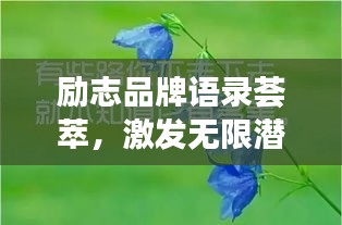 励志品牌语录荟萃，激发无限潜能的力量之源！