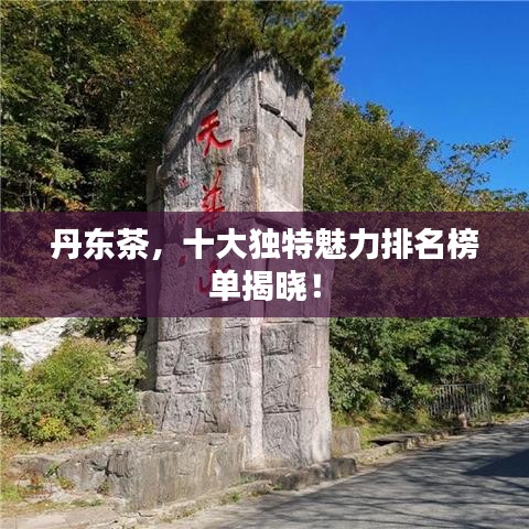 2025年5月29日 第4页