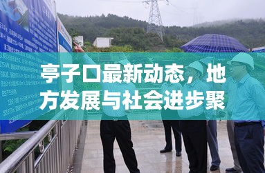 亭子口最新动态，地方发展与社会进步聚焦报道