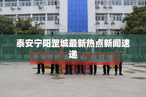 泰安宁阳罡城最新热点新闻速递