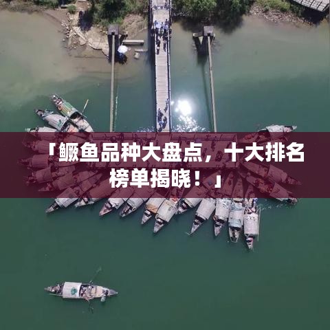 「鳜鱼品种大盘点，十大排名榜单揭晓！」