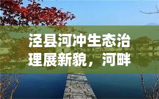 泾县河冲生态治理展新貌，河畔新宏图初现新闻头条