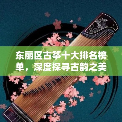东丽区古筝十大排名榜单，深度探寻古韵之美