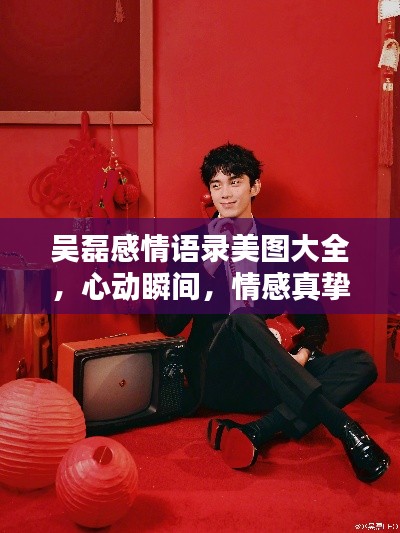 吴磊感情语录美图大全，心动瞬间，情感真挚的话语与图片集合