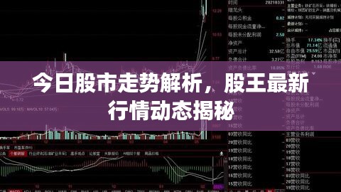 今日股市走势解析，股王最新行情动态揭秘