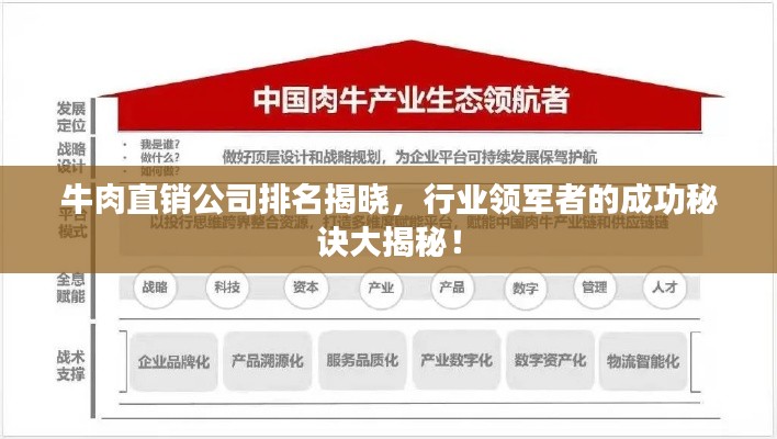 牛肉直销公司排名揭晓，行业领军者的成功秘诀大揭秘！
