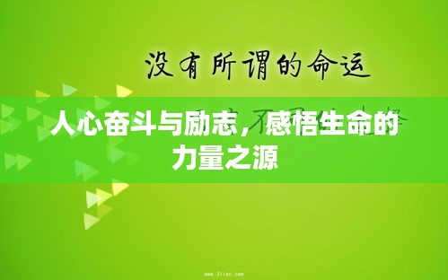 人心奋斗与励志，感悟生命的力量之源