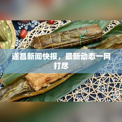 遂昌新闻快报，最新动态一网打尽