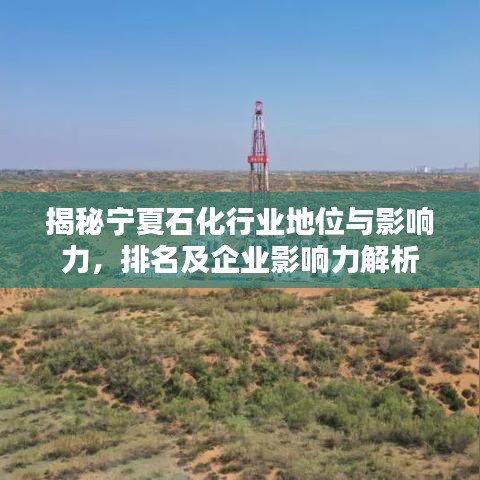 揭秘宁夏石化行业地位与影响力，排名及企业影响力解析