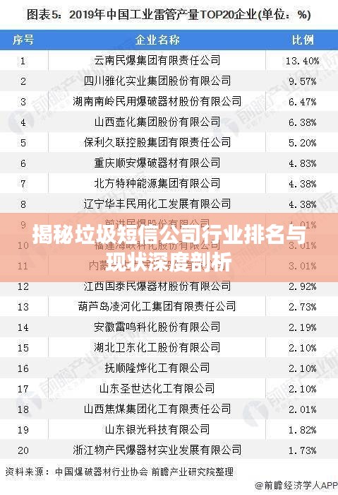 揭秘垃圾短信公司行业排名与现状深度剖析