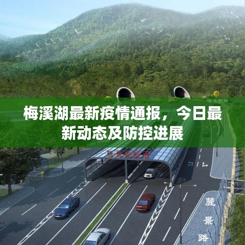 梅溪湖最新疫情通报，今日最新动态及防控进展