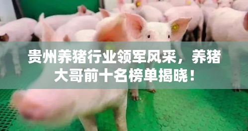 贵州养猪行业领军风采，养猪大哥前十名榜单揭晓！