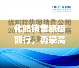 化肥销售砥砺前行，勇攀高峰！