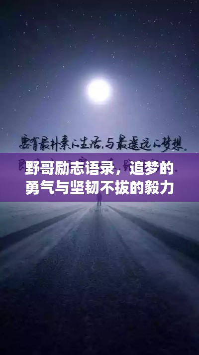 野哥励志语录，追梦的勇气与坚韧不拔的毅力！