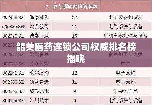 韶关医药连锁公司权威排名榜揭晓