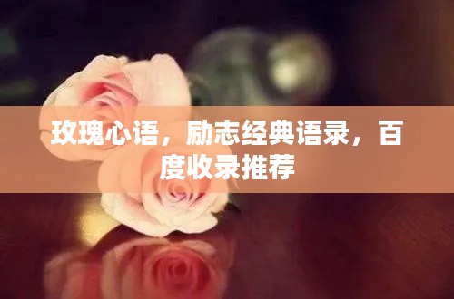 玫瑰心语，励志经典语录，百度收录推荐