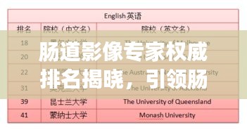 肠道影像专家权威排名揭晓，引领肠道健康的十大先锋力量