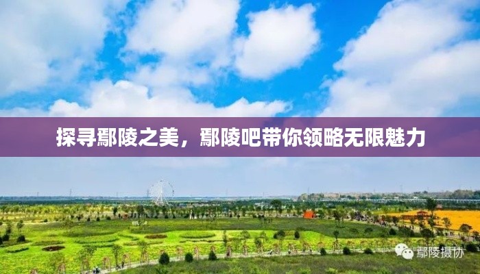 探寻鄢陵之美，鄢陵吧带你领略无限魅力