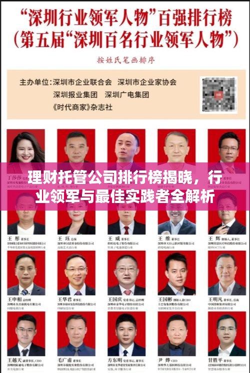 理财托管公司排行榜揭晓，行业领军与最佳实践者全解析