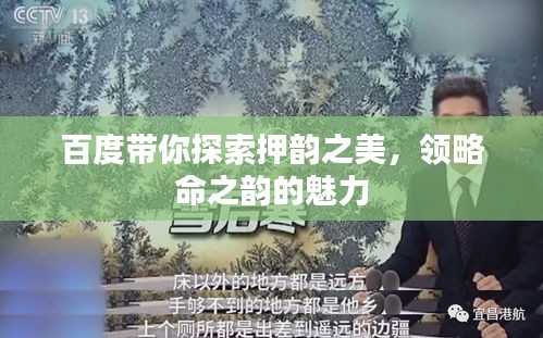 百度带你探索押韵之美，领略命之韵的魅力