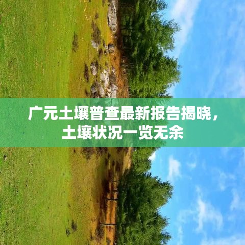 广元土壤普查最新报告揭晓，土壤状况一览无余