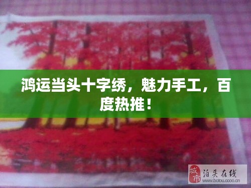 鸿运当头十字绣，魅力手工，百度热推！