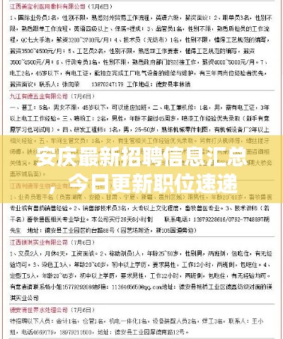 安庆最新招聘信息汇总，今日更新职位速递