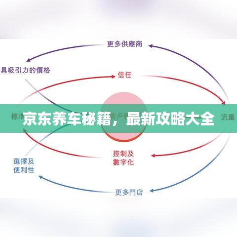 京东养车秘籍，最新攻略大全