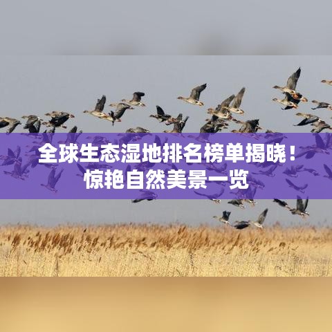 全球生态湿地排名榜单揭晓！惊艳自然美景一览