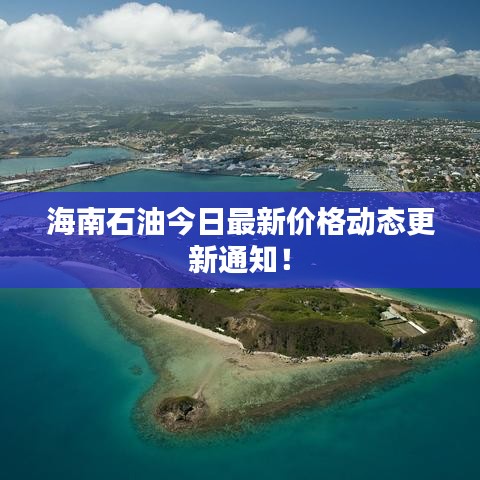 海南石油今日最新价格动态更新通知！