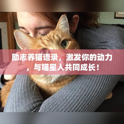 励志养猫语录，激发你的动力，与喵星人共同成长！